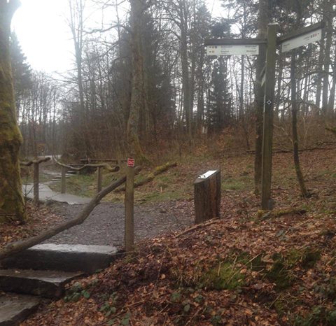 Renaturierung der Siegquelle Renaturierung der Siegquelle